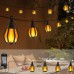 Toodour Festoon Lights Outdoor with 15 Flickering Flame Bulb 9M, SAA Approved LED Flame Lights - Waterproof and Shatterproof Outdoor Patio Lights for Yard Garden Porch Party Outside Decorations Toodour Festoon Lights Outdoor with 15 Flickering Flame Bulb 9M, SAA Approved LED Flame Lights - Waterproof and Shatterproof Outdoor Patio Lights for Yard Garden Porch Party Outside Decorations