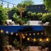 Toodour Festoon Lights Outdoor with 15 Flickering Flame Bulb 9M, SAA Approved LED Flame Lights - Waterproof and Shatterproof Outdoor Patio Lights for Yard Garden Porch Party Outside Decorations Toodour Festoon Lights Outdoor with 15 Flickering Flame Bulb 9M, SAA Approved LED Flame Lights - Waterproof and Shatterproof Outdoor Patio Lights for Yard Garden Porch Party Outside Decorations