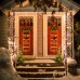 Toodour LED Christmas Light - Christmas Decorative Ladder Lights with Santa Claus, Christmas Decorations Lights for Indoor Outdoor, Window, Garden, Home Decor - Warm White