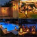 Toodour Solar Lights Outdoor, 2 Pack Hanging Solar Lanterns with 4 Lighting Mode, Type-C Charging, Waterproof Decorative Lights for Garden, Patio, Landscape, Yard, Camping