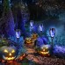 Toodour Outdoor Solar Lights, 12 Pack LED Solar Torch Lights with Flickering Flame, Waterproof Lighting Decoration for Patio Garden Yard Pathway Landscape, Blue