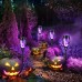 Toodour Outdoor Solar Lights, 12 Pack LED Solar Torch Lights with Flickering Flame, Waterproof Lighting Decoration for Patio Garden Yard Pathway Landscape, Purple