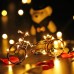 Toodour Battery Fairy Lights 8 Packs 30 LED 10ft Battery Operated String Lights, DIY Silver Wire LED String Lights for Wedding, Bedroom, Home, Party, Table, Christmas Decor (Warm White)