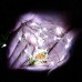 Toodour Battery Fairy Lights 8 Packs 30 LED 10ft Battery Operated String Lights, DIY Silver Wire LED String Lights for Wedding, Bedroom, Home, Party, Table, Christmas Decor (White)